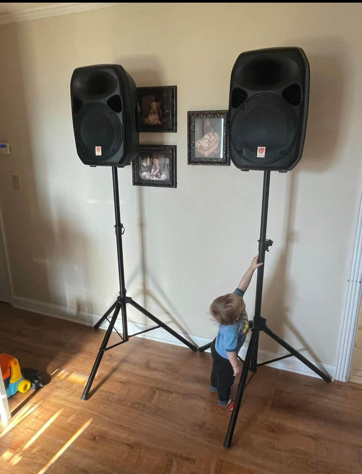 Bluetooth Pa Speakers